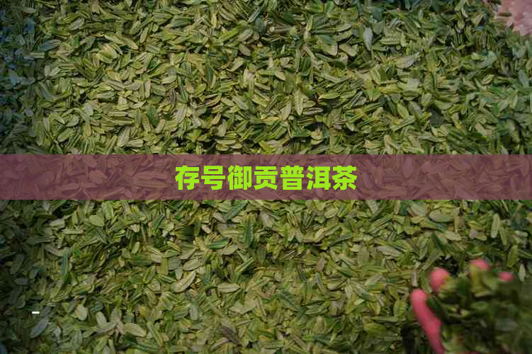 存号御贡普洱茶