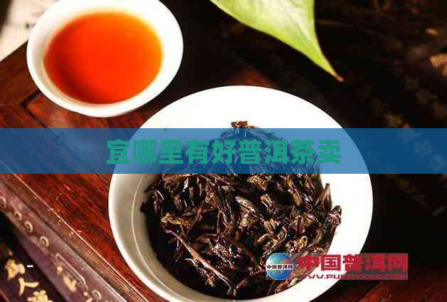 宜哪里有好普洱茶卖