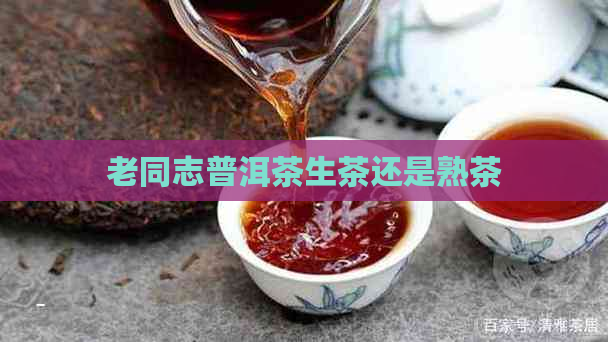 老同志普洱茶生茶还是熟茶