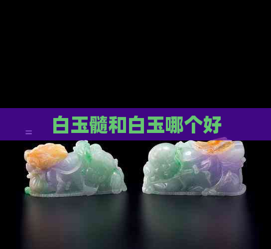 白玉髓和白玉哪个好