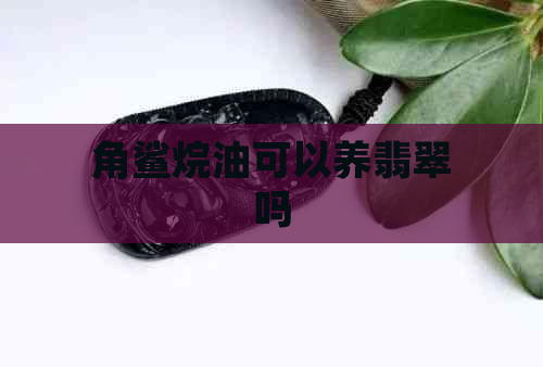 角鲨烷油可以养翡翠吗