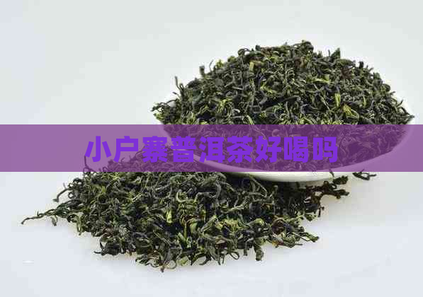 小户寨普洱茶好喝吗