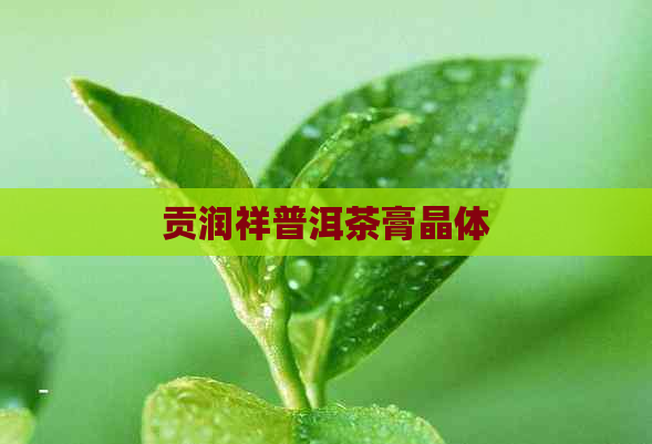 贡润祥普洱茶膏晶体