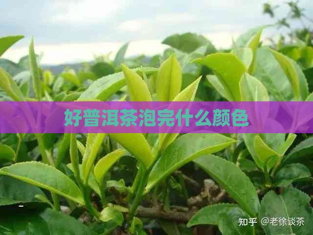 好普洱茶泡完什么颜色