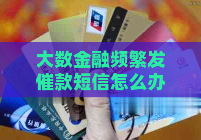 大数金融频繁发催款短信怎么办