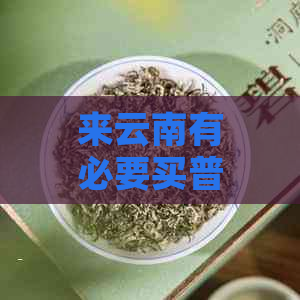 来云南有必要买普洱茶吗