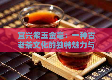 宜兴紫玉金毫：一种古老茶文化的独特魅力与精神内涵