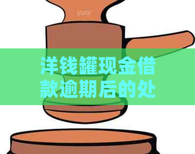 洋钱罐现金借款逾期后的处理方法