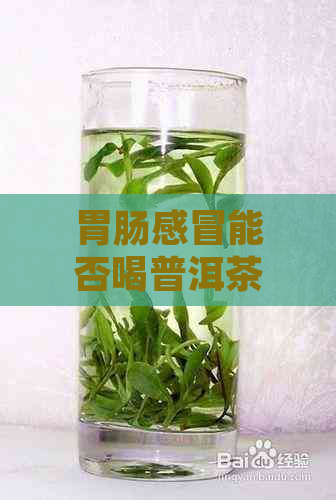 胃肠感冒能否喝普洱茶