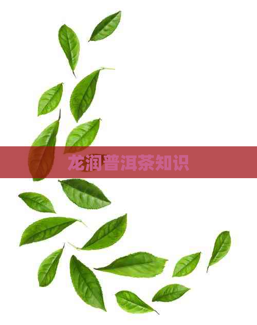 龙润普洱茶知识