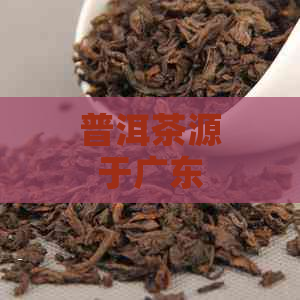 普洱茶源于广东