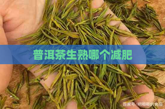 普洱茶生熟哪个减肥