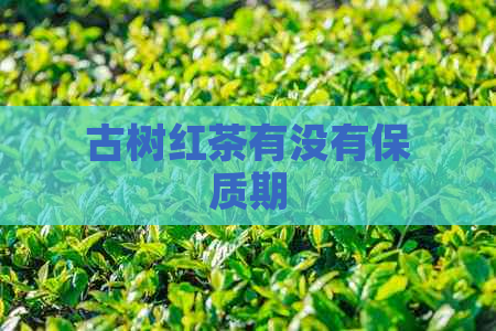 古树红茶有没有保质期