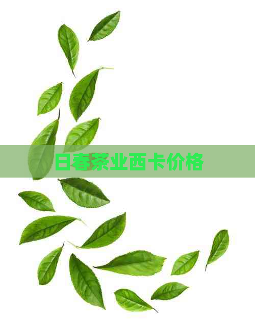 日春茶业西卡价格