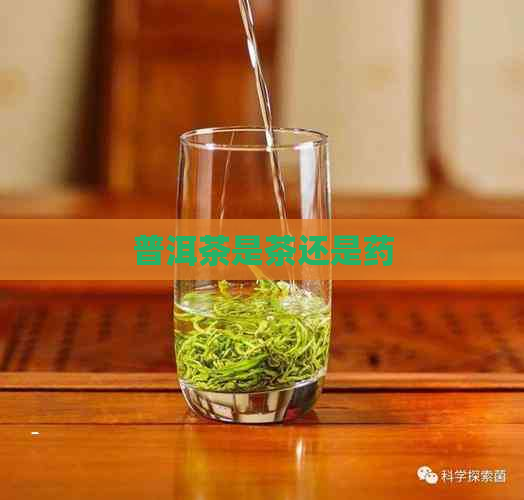 普洱茶是茶还是药