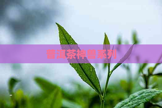 普洱茶神兽系列