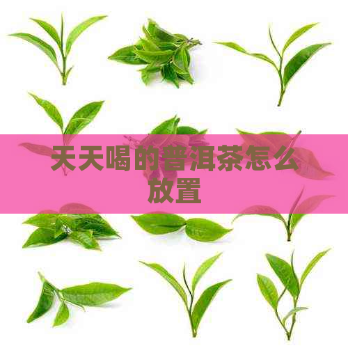 天天喝的普洱茶怎么放置