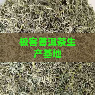 极客普洱茶生产基地