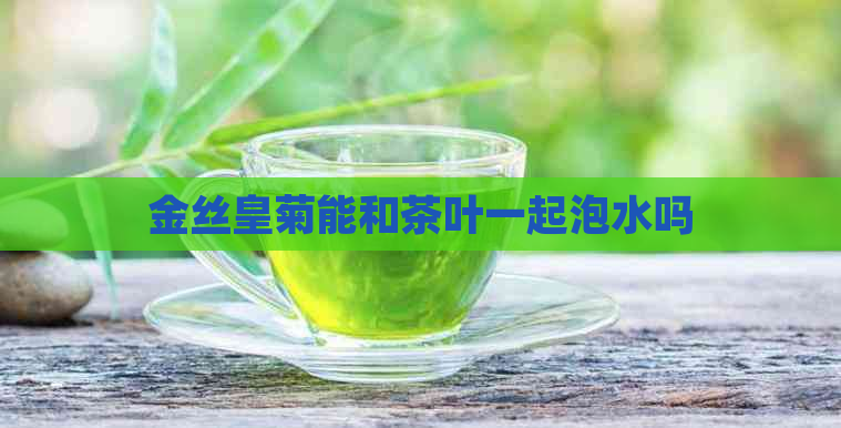 金丝皇菊能和茶叶一起泡水吗