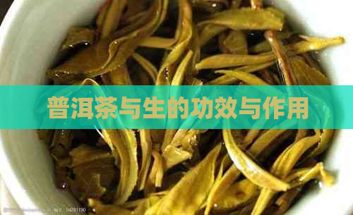 普洱茶与生的功效与作用