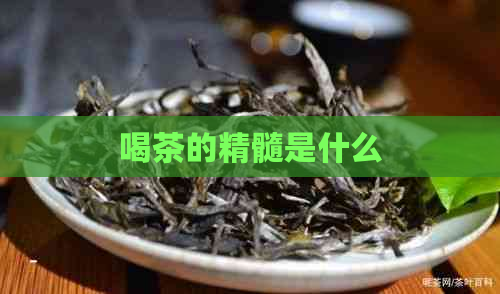 喝茶的精髓是什么