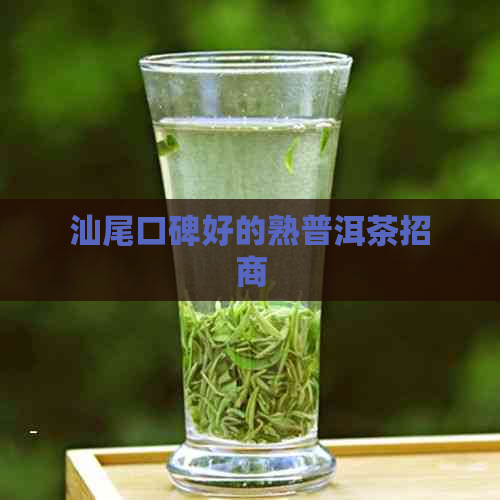 汕尾口碑好的熟普洱茶招商