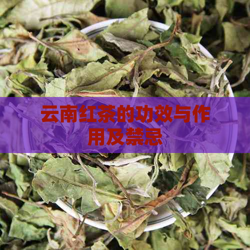 云南红茶的功效与作用及禁忌