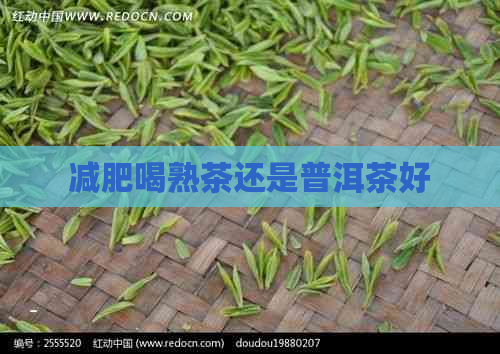 减肥喝熟茶还是普洱茶好