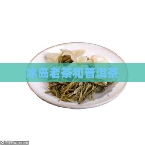 冰岛老茶和普洱茶