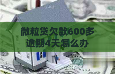 微粒贷欠款600多逾期4天怎么办