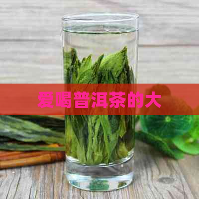 爱喝普洱茶的大