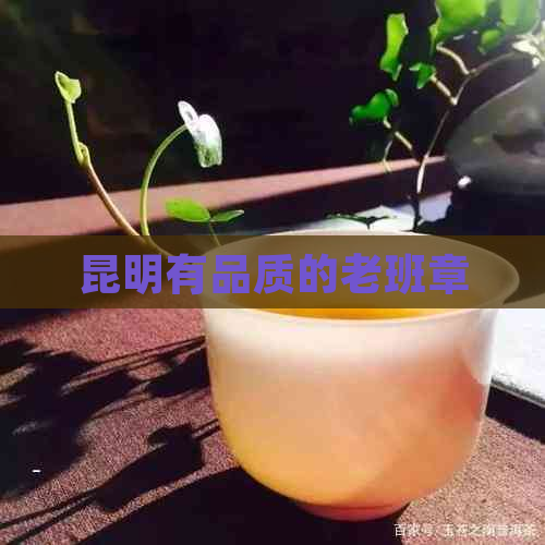 昆明有品质的老班章