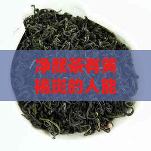 净颜茶有黄褐斑的人能喝吗