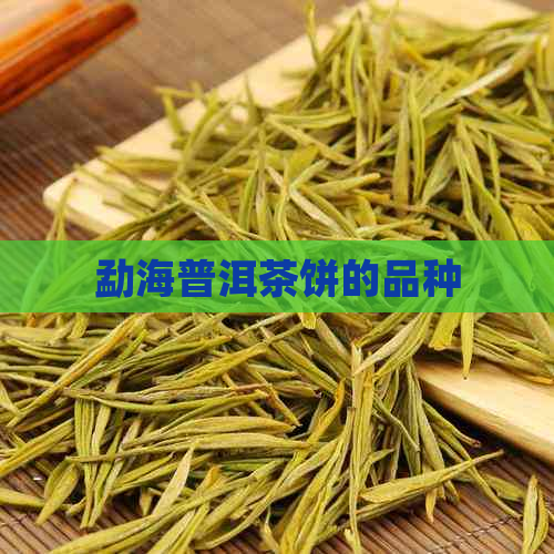 勐海普洱茶饼的品种