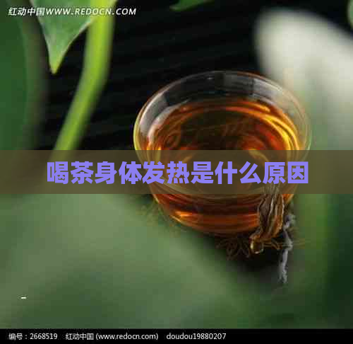 喝茶身体发热是什么原因