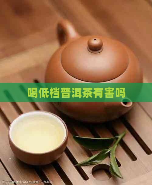 喝低档普洱茶有害吗