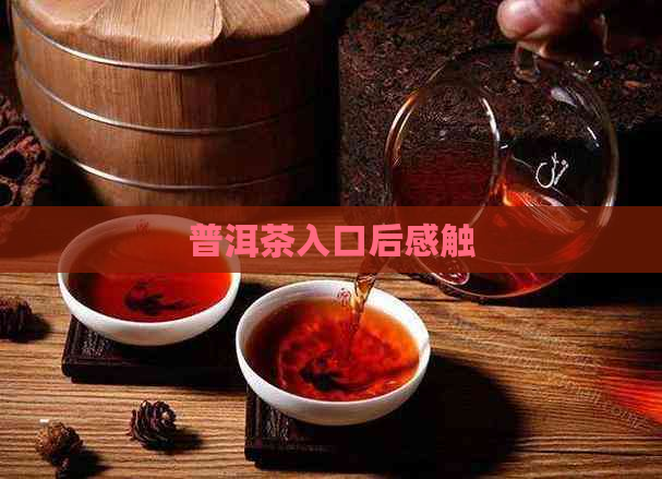 普洱茶入口后感触