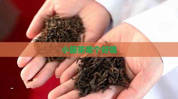 小罐茶哪个好喝