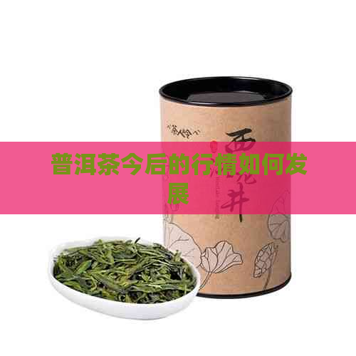 普洱茶今后的行情如何发展