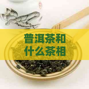 普洱茶和什么茶相近