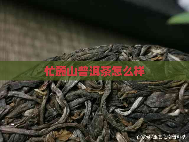 忙麓山普洱茶怎么样