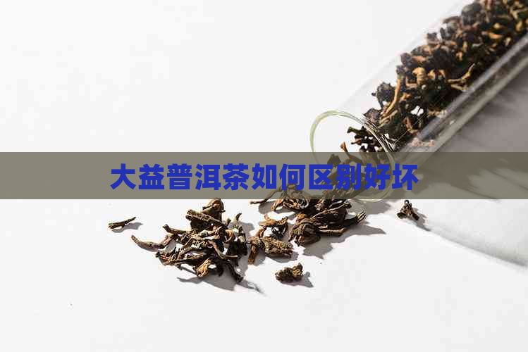 大益普洱茶如何区别好坏