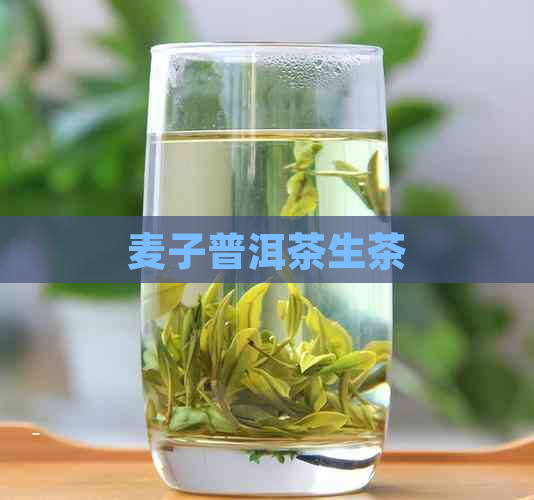 麦子普洱茶生茶