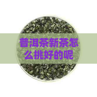 普洱茶新茶怎么挑好的呢