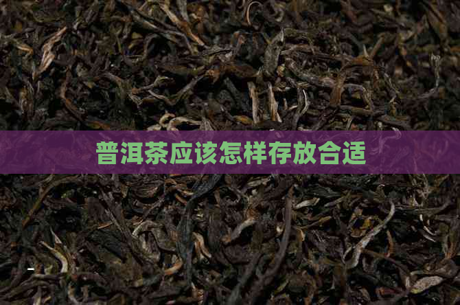 普洱茶应该怎样存放合适