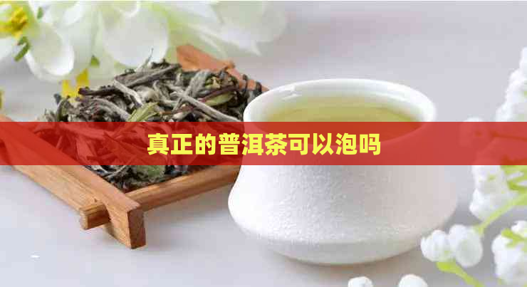 真正的普洱茶可以泡吗