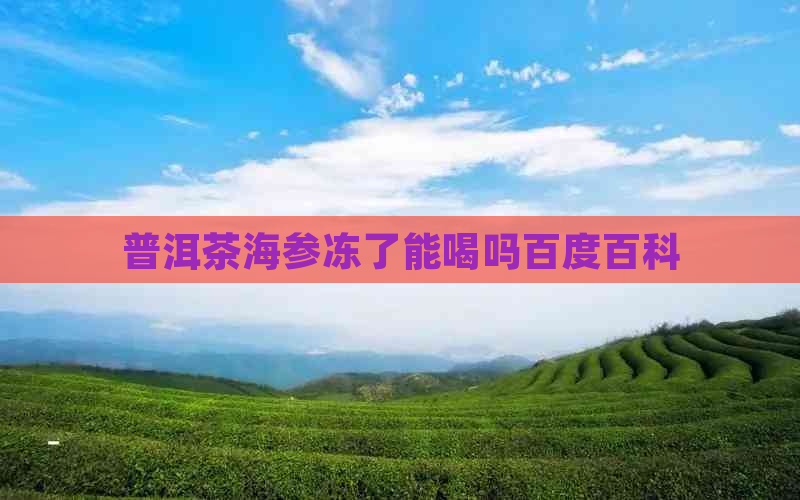 普洱茶海参冻了能喝吗百度百科