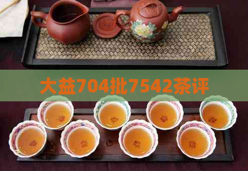 大益704批7542茶评