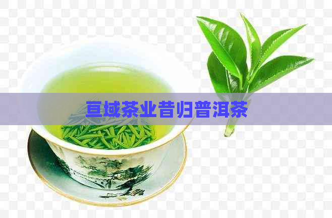 亘域茶业昔归普洱茶