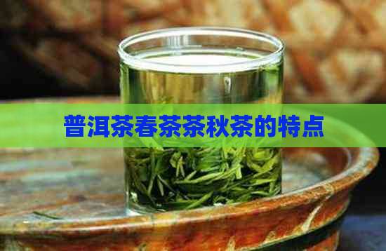 普洱茶春茶茶秋茶的特点